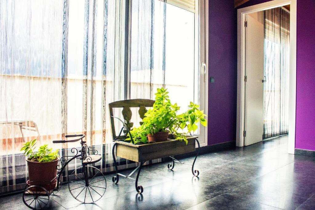 Ático con estilo y acogedor. Apartamento Sant Mateu Exterior foto